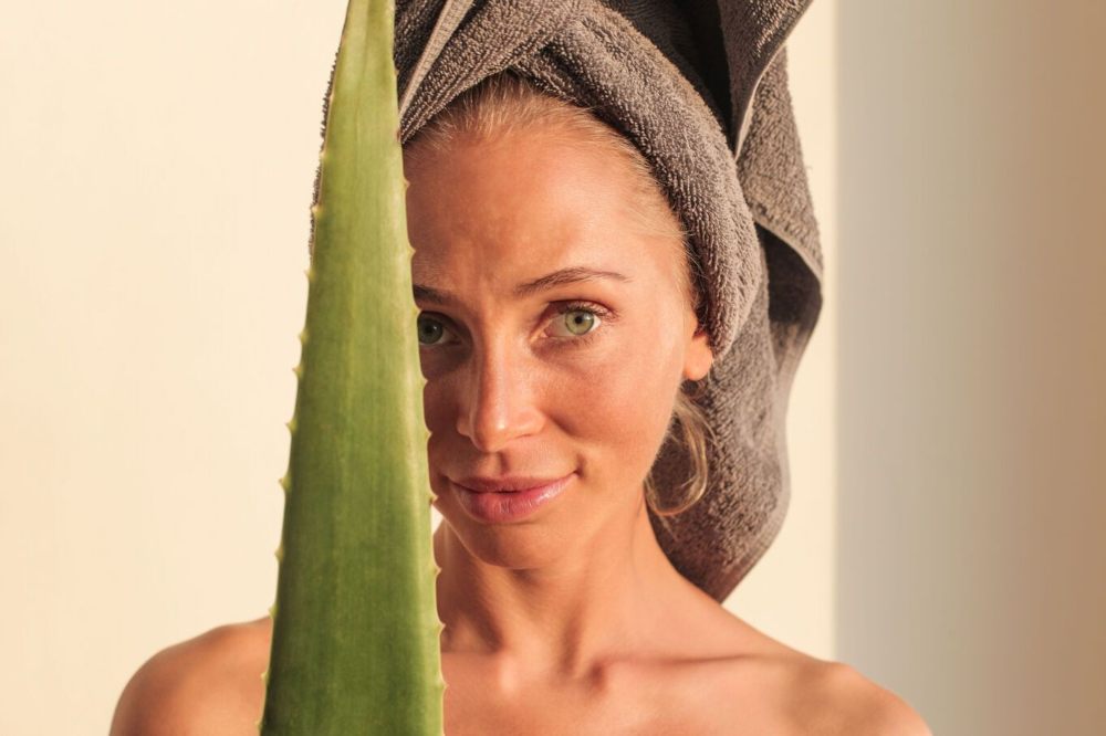 Todas las propiedades del aloe vera