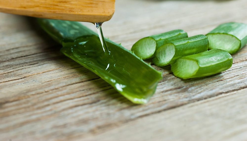 Beneficios del aloe vera para el acne